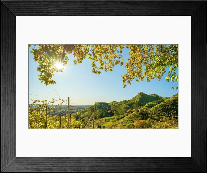 Framed Print : europe, Italy, Veneto. Landscape in the Prosecco hills of Conegliano and Valdobbiadene in autumn