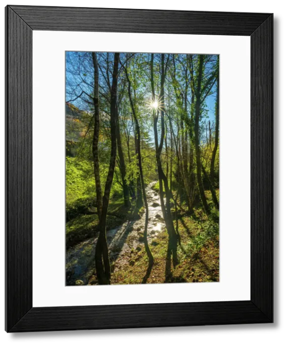 Framed Print : europe, Italy, Veneto. on the footpath of the water, la via dell´acqua, near to Cison di Valmarino in the Prosecco hills