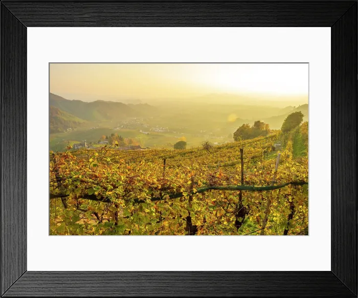 Framed Print : europe, Italy, Veneto. The Prosecco hills of Conegliano and Valdobbiadene in autumn. Near to Osteria Senza Oste at sunset Framed Print : europe, Italy, Veneto. The Prosecco hills of Conegliano and Valdobbiadene in autumn. Near to Osteria Senza Oste at sunset
