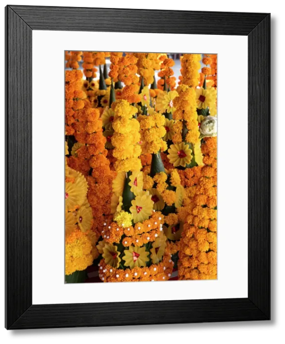 Framed Print : Marigold temple offerings, Pha That Luang, Vientiane (capital city), Laos