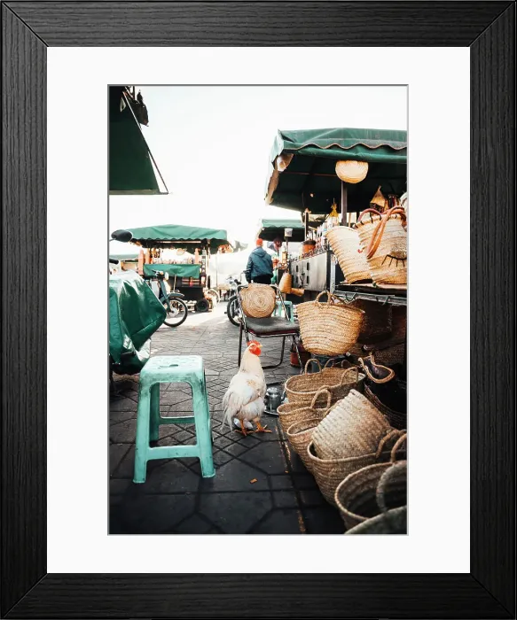 Framed Print : Hen among the market stalls, Jamaa el Fna Square, Marrakech, Morocco Framed Print : Hen among the market stalls, Jamaa el Fna Square, Marrakech, Morocco