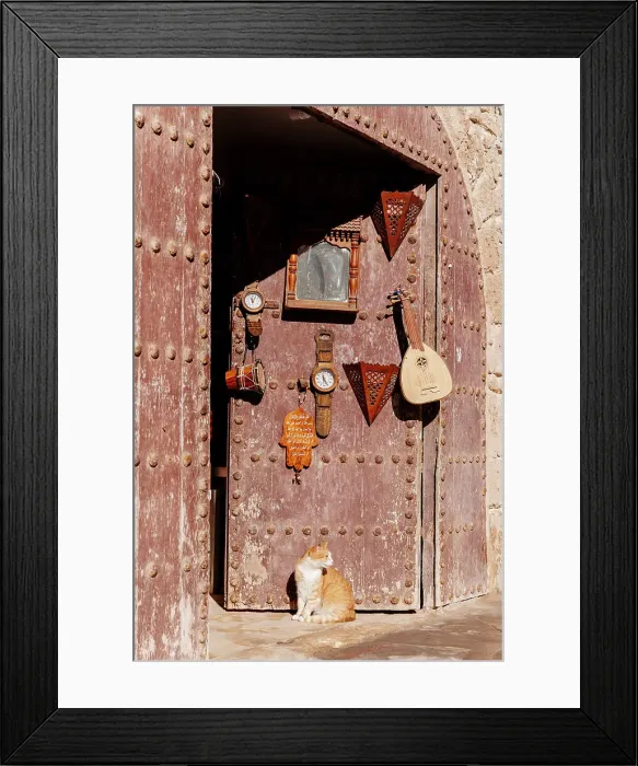 Framed Print : Cat by a door in Essaouira, Morocco Framed Print : Cat by a door in Essaouira, Morocco