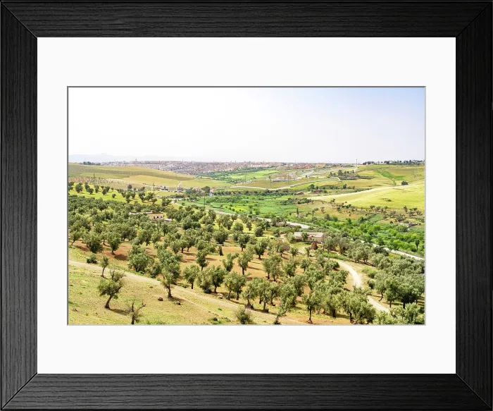 Framed Print : Olive groves in the green rolling hills nearby the city of Fez, Morocco Framed Print : Olive groves in the green rolling hills nearby the city of Fez, Morocco