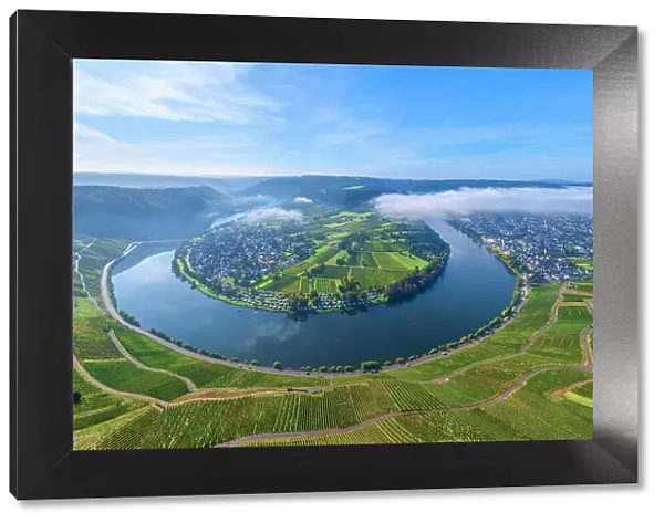 Aerial view at Moselle horseshoe bend at Kroev with morning fog, Mosel valley, Rhineland-Palatinate, Germany