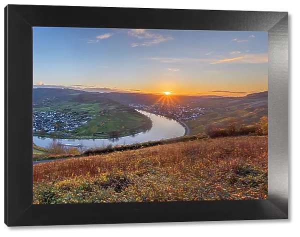 Moselle horseshoe bend at Kroev at sunset, Mosel valley, Rhineland-Palatinate, Germany