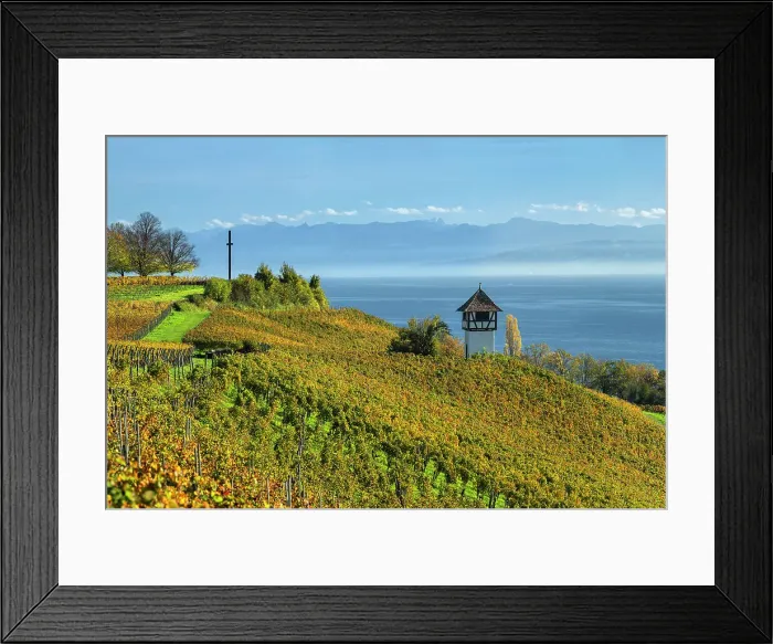 Framed Print : View over vineyards to Lake Constance and Swiss Alps, Upper Swabia, Baden-Wurttemberg, Germany