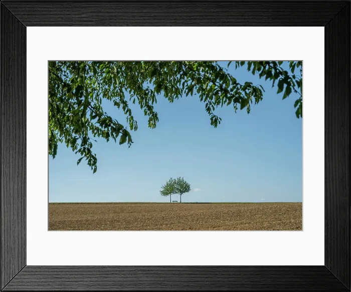 Framed Print : europe, Germany, Saxony. A field with a bench