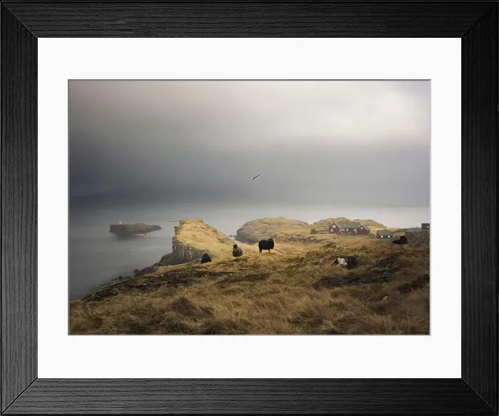 Framed Print : The coast of Hoyvik, close to Torshavn, in a foggy day. Island of Streymoy. Faroe Islands Framed Print : The coast of Hoyvik, close to Torshavn, in a foggy day. Island of Streymoy. Faroe Islands