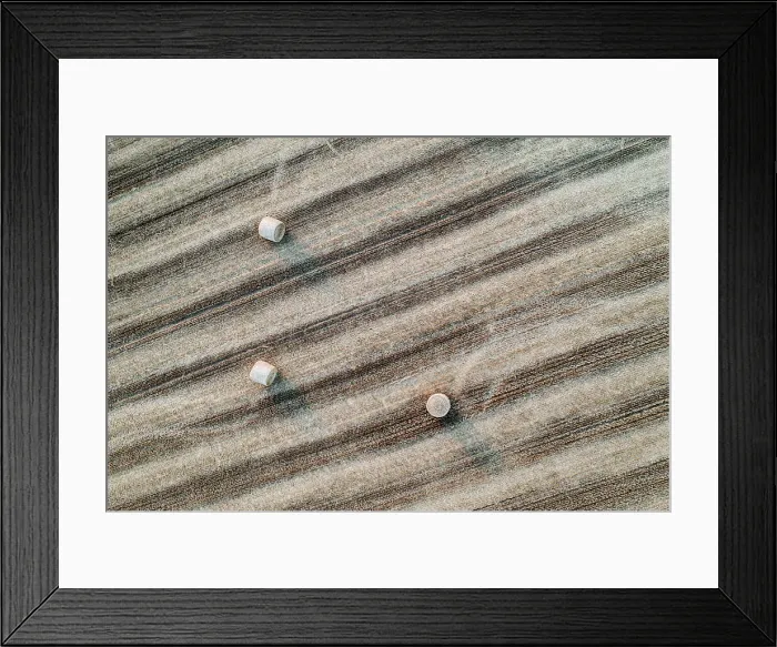 Framed Print : Aerial view of round straw bales in a harvested field, South Tawton, Devon, England. Summer (August) 2022 Framed Print : Aerial view of round straw bales in a harvested field, South Tawton, Devon, England. Summer (August) 2022