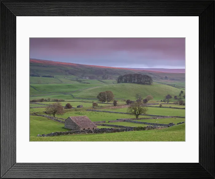 Framed Print : Dawn above the rolling countryside of Wensleydale near Hawes, Yorkshire Dales, England. Autumn (October) 2018 Framed Print : Dawn above the rolling countryside of Wensleydale near Hawes, Yorkshire Dales, England. Autumn (October) 2018