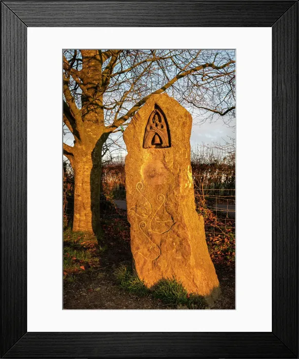 Framed Print : Bridie Bell below Glastonbury Tor, Somerset, England. Winter (December) 2019