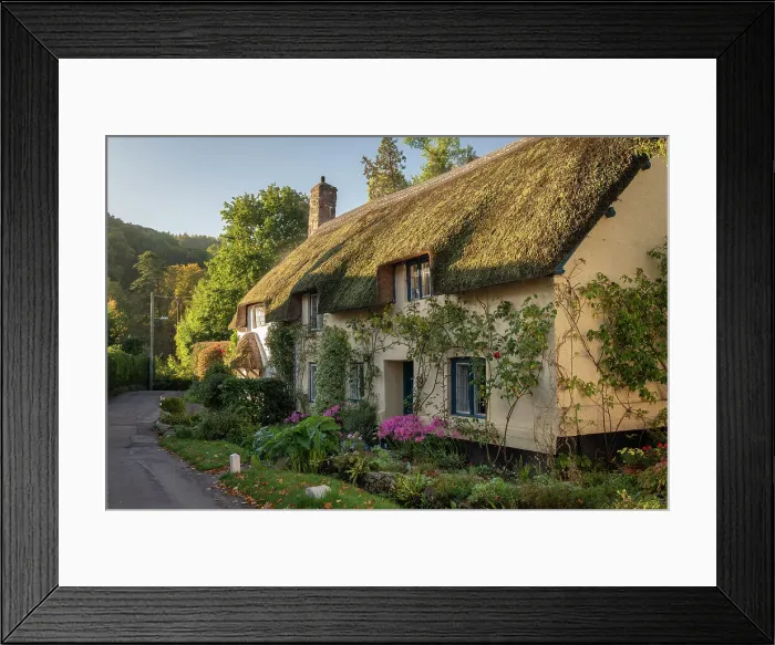 Framed Print : Idyllic thatched cottage in the village of Dunster, Exmoor National Park, Somerset, England. Autumn (October) 2022 Framed Print : Idyllic thatched cottage in the village of Dunster, Exmoor National Park, Somerset, England. Autumn (October) 2022