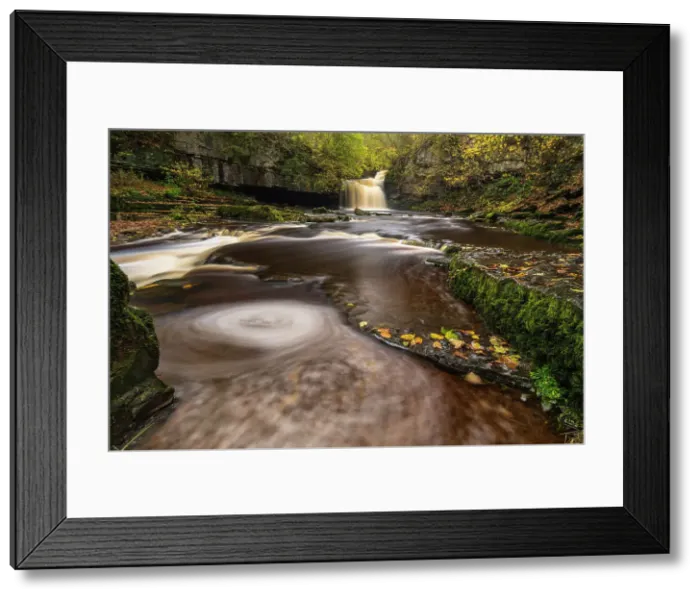 Framed Print : Cauldron Falls waterfall in the Yorkshire Dales National Park, West Burton, North Yorkshire, England. Autumn (November) 2022 Framed Print : Cauldron Falls waterfall in the Yorkshire Dales National Park, West Burton, North Yorkshire, England. Autumn (November) 2022