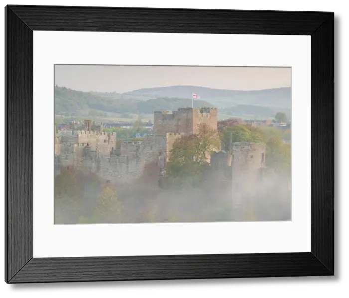 Framed Print : Ludlow Castle at dawn on a misty autumnal morning, Ludlow, Shropshire, England. Autumn (November) 2022