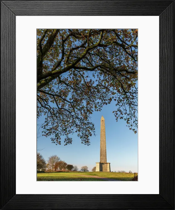 Framed Print : Erected to commemorate the Duke of Wellington's victory at the Battle of Waterloo, the Wellington Monument at 53m is the tallest three sided obelisk in the world. Wellinton, Somerset, England. Autumn (December) 2022 Framed Print : Erected to commemorate the Duke of Wellington's victory at the Battle of Waterloo, the Wellington Monument at 53m is the tallest three sided obelisk in the world. Wellinton, Somerset, England. Autumn (December) 2022