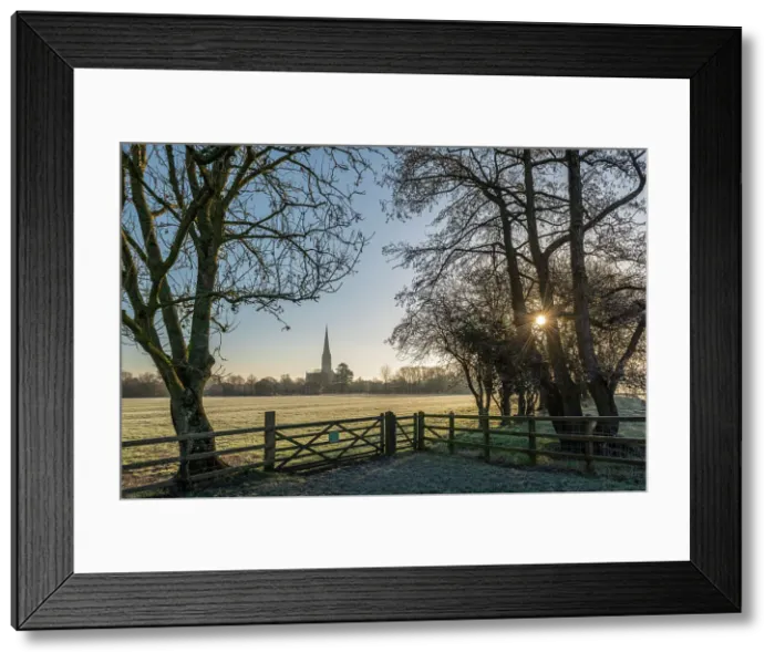 Framed Print : Salisbury Cathedral on a frosty winter morning, Salisbury, Wiltshire, England. Winter (February) 2023 Framed Print : Salisbury Cathedral on a frosty winter morning, Salisbury, Wiltshire, England. Winter (February) 2023