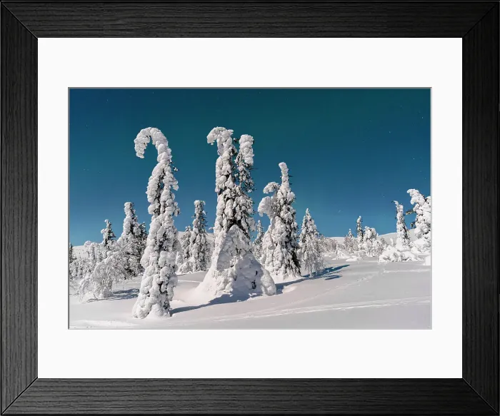 Framed Print : Frozen snowy forest under a bright starry sky in winter, Lapland, Finland Framed Print : Frozen snowy forest under a bright starry sky in winter, Lapland, Finland