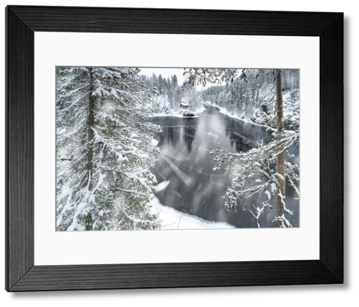 Framed Print : Snow storm over a forest and frozen river in winter, Myllykoski, Oulanka National Park, Kuusamo, Lapland, Finland Framed Print : Snow storm over a forest and frozen river in winter, Myllykoski, Oulanka National Park, Kuusamo, Lapland, Finland