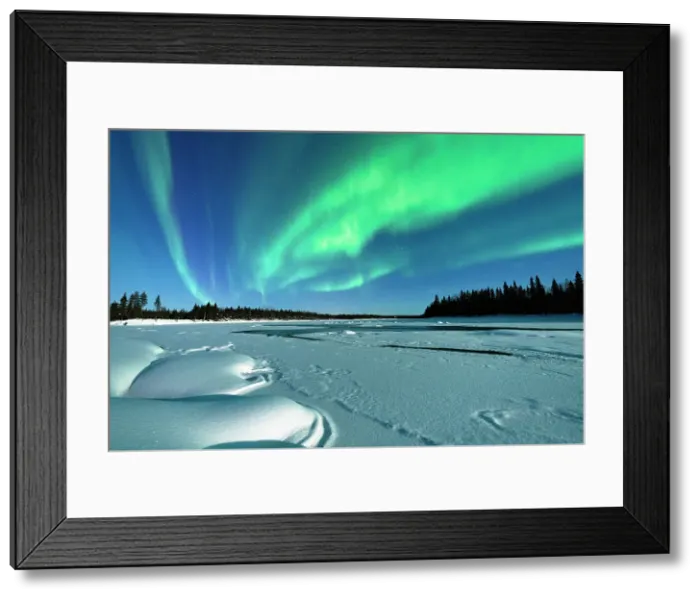 Framed Print : Aurora Borealis in the bright night sky over a frozen forest covered with snow after a blizzard, Levi, Kittila, Lapland, Finland Framed Print : Aurora Borealis in the bright night sky over a frozen forest covered with snow after a blizzard, Levi, Kittila, Lapland, Finland