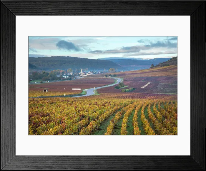 Framed Print : Cote de Beaune vineyards, Cote-d'Or, Burgundy, Bourgogne-Franche-Comte, France Framed Print : Cote de Beaune vineyards, Cote-d'Or, Burgundy, Bourgogne-Franche-Comte, France