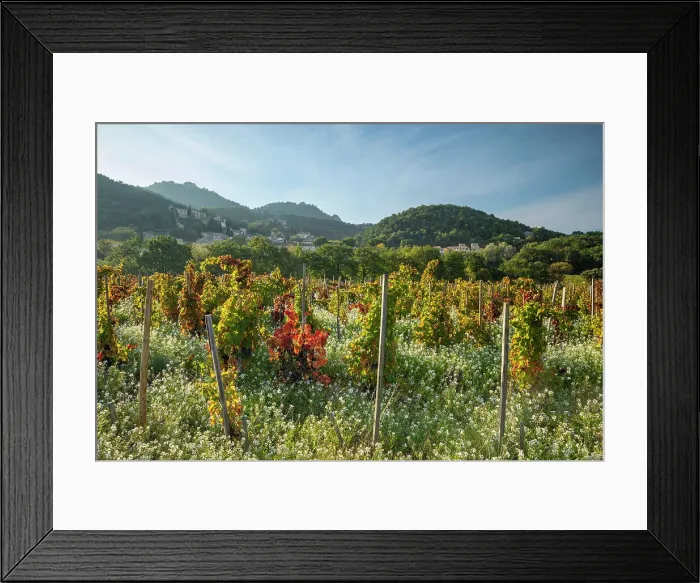 Framed Print : Gigondas and the Dentelles de Montmirail mountains beyond, Provence, Vaucluse, France Framed Print : Gigondas and the Dentelles de Montmirail mountains beyond, Provence, Vaucluse, France