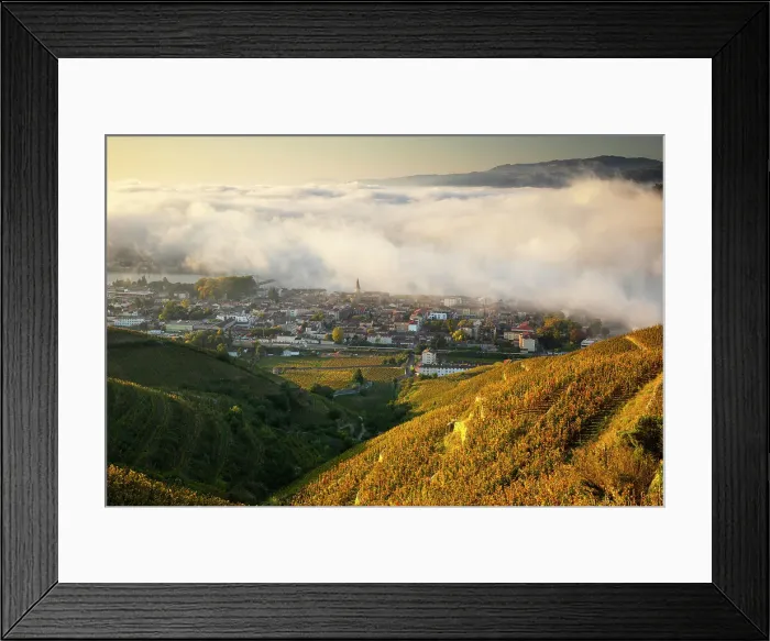 Framed Print : Tain L Hermitage, Cote du Rhone, Drome, Rhone-Alpes, France Framed Print : Tain L Hermitage, Cote du Rhone, Drome, Rhone-Alpes, France