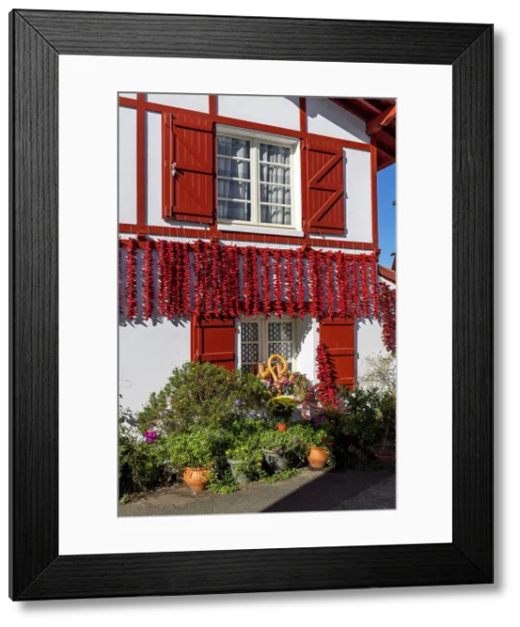 Framed Print : Red chillis hang up in front of a traditional Basque house, Espelette, Province of Labourd, Pyrenees-Atlantiques, Nouvelle Aquitaine, France Framed Print : Red chillis hang up in front of a traditional Basque house, Espelette, Province of Labourd, Pyrenees-Atlantiques, Nouvelle Aquitaine, France