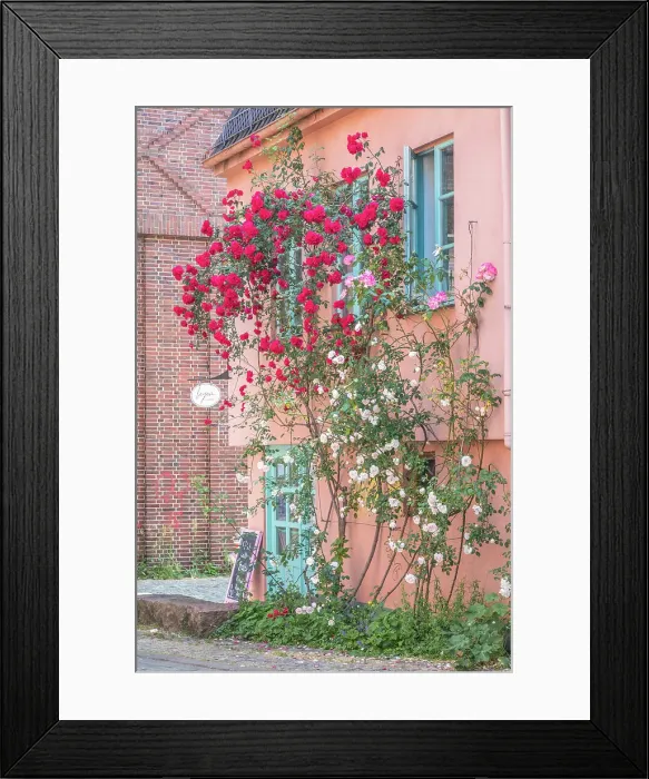 Framed Print : Climbing roses on house in the historic Schnoor district, Bremen, Germany Framed Print : Climbing roses on house in the historic Schnoor district, Bremen, Germany