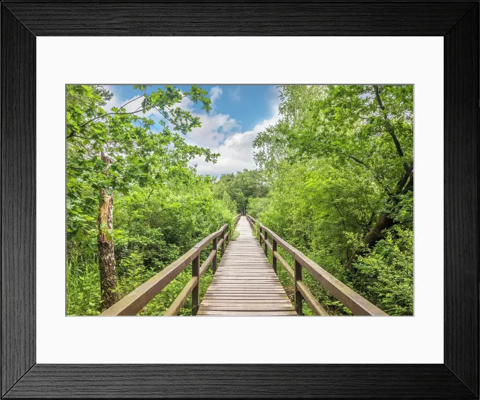 Framed Print : Bridge in the Thuelsfeld Dam nature reserve, Emsland, Lower Saxony, Germany Framed Print : Bridge in the Thuelsfeld Dam nature reserve, Emsland, Lower Saxony, Germany