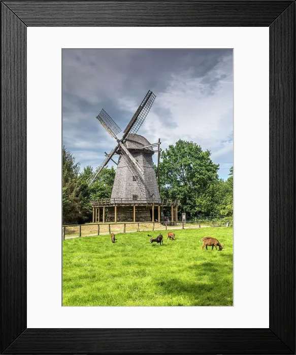 Framed Print : Cloppenburg Museum Village: Cap windmill from Bokel near Cappeln (Cloppenburg district), built in 1764, Emsland, Lower Saxony, Germany Framed Print : Cloppenburg Museum Village: Cap windmill from Bokel near Cappeln (Cloppenburg district), built in 1764, Emsland, Lower Saxony, Germany