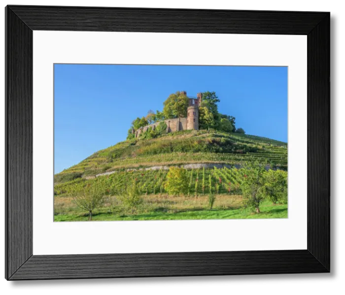 Framed Print : Ortenberg castle near Offenburg, Black Forest, Baden-Wurttemberg, Germany Framed Print : Ortenberg castle near Offenburg, Black Forest, Baden-Wurttemberg, Germany