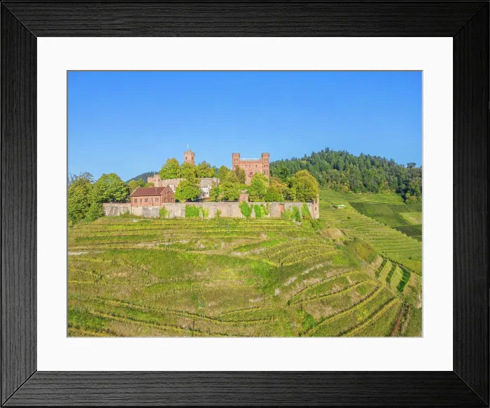 Framed Print : Aerial view at Ortenberg castle near Offenburg, Black Forest, Baden-Wurttemberg, Germany Framed Print : Aerial view at Ortenberg castle near Offenburg, Black Forest, Baden-Wurttemberg, Germany