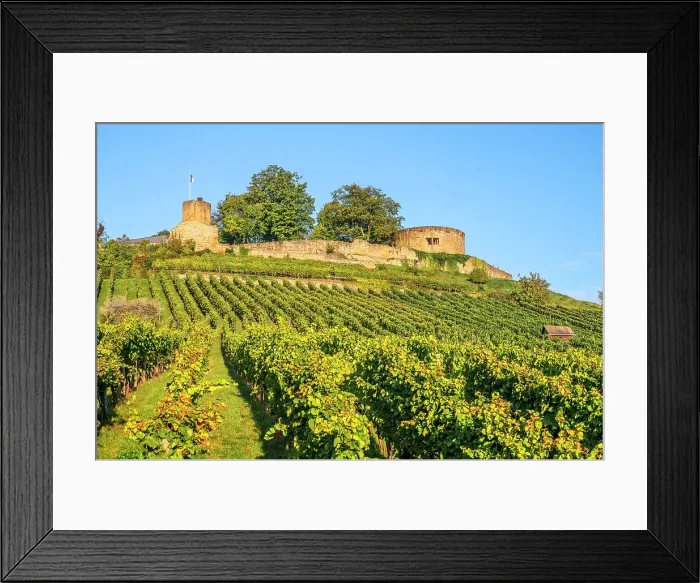 Framed Print : Castle ruin Weibertreu, Weinsberg near Heilbronn, Baden-Wurttemberg, Germany Framed Print : Castle ruin Weibertreu, Weinsberg near Heilbronn, Baden-Wurttemberg, Germany