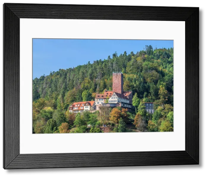 Framed Print : Liebenzell castle, Northern Black Forest, Baden-Wurttemberg, Germany