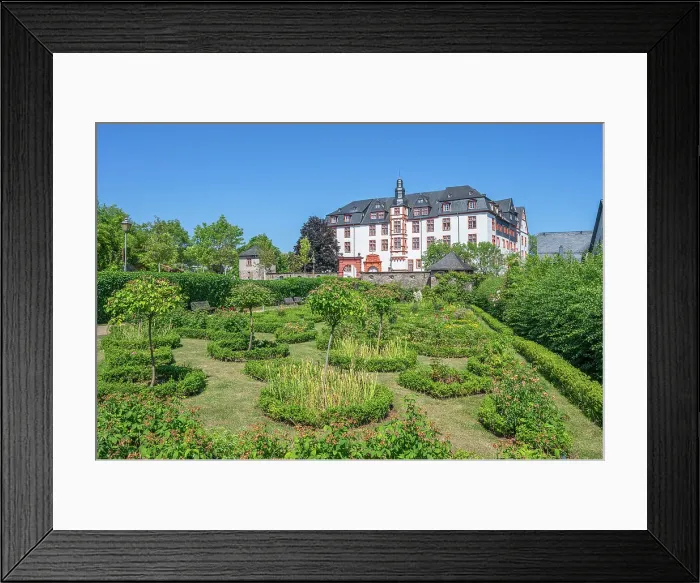 Framed Print : Rose garden in front of the Idstein Castle, Residenzschloss, Idstein, Taunus, Hesse, Germany Framed Print : Rose garden in front of the Idstein Castle, Residenzschloss, Idstein, Taunus, Hesse, Germany