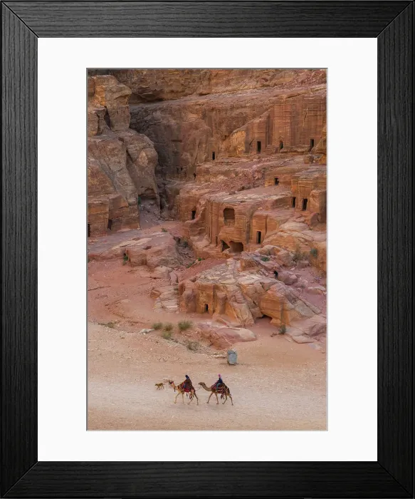 Framed Print : Camels outside the Outer Siq, Petra, Jordan Framed Print : Camels outside the Outer Siq, Petra, Jordan