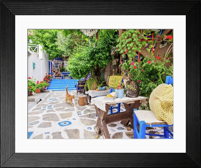Framed Print : Cats at The Blue Street, Pythagoreio, Samos Island, North Aegean, Greece Framed Print : Cats at The Blue Street, Pythagoreio, Samos Island, North Aegean, Greece