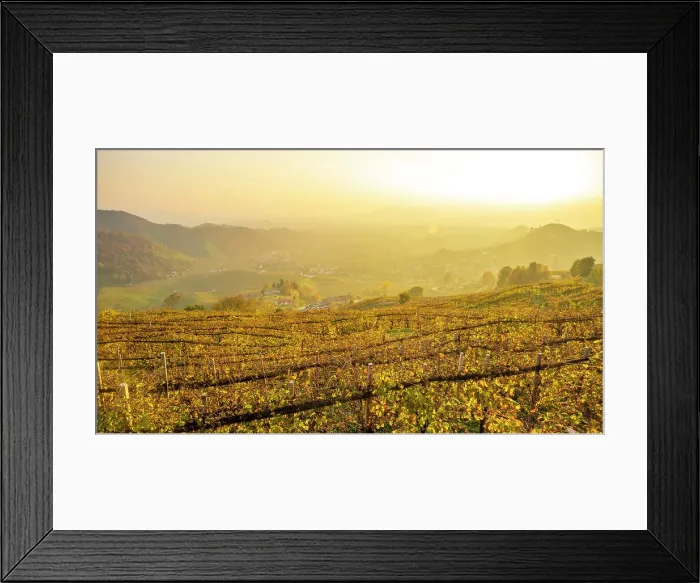 Framed Print : europe, Italy, Veneto. The Prosecco hills of Conegliano and Valdobbiadene in autumn. Near to Osteria Senza Oste at sunset Framed Print : europe, Italy, Veneto. The Prosecco hills of Conegliano and Valdobbiadene in autumn. Near to Osteria Senza Oste at sunset