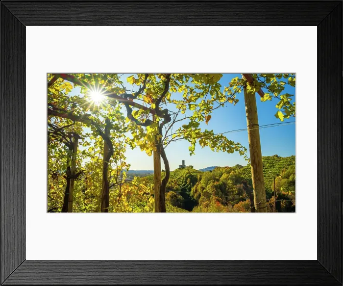 Framed Print : europe, Italy, Veneto. Landscape in the Prosecco hills of Conegliano and Valdobbiadene in autumn with the little church of San Lorenzo Framed Print : europe, Italy, Veneto. Landscape in the Prosecco hills of Conegliano and Valdobbiadene in autumn with the little church of San Lorenzo