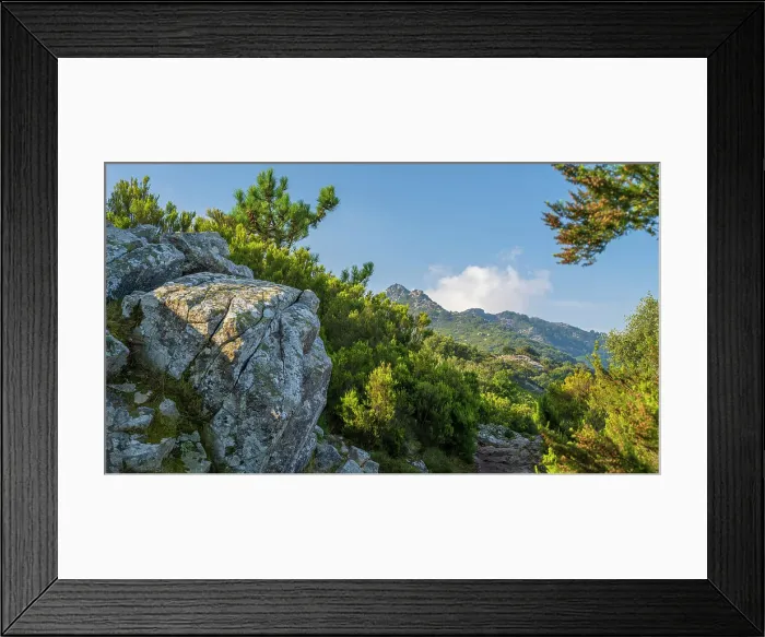 Framed Print : Europe, Italy, Tuscany. Elba Island, On the hike of the GTE, the Grande Traversata Elbana, the Elba crossing. near the Monte Capanne, the highest peak of the island Framed Print : Europe, Italy, Tuscany. Elba Island, On the hike of the GTE, the Grande Traversata Elbana, the Elba crossing. near the Monte Capanne, the highest peak of the island