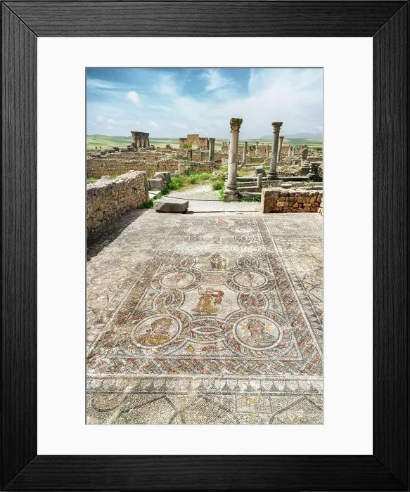 Framed Print : Well preserved mosaic on flooring of the House of Dionysus, Volubilis Archaeological Site, Meknes, Morocco Framed Print : Well preserved mosaic on flooring of the House of Dionysus, Volubilis Archaeological Site, Meknes, Morocco