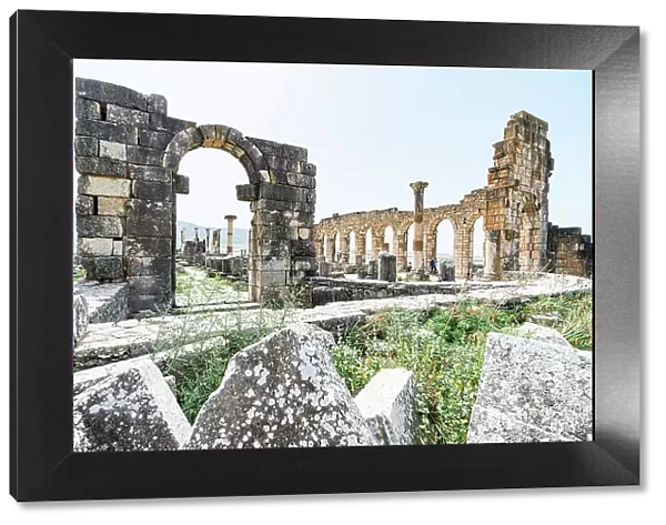 The Forum at the Roman archaeological site of Volubilis, UNESCO World Heritage Site, Meknes, Morocco