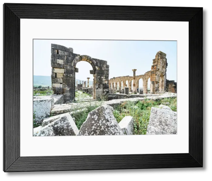 Framed Print : The Forum at the Roman archaeological site of Volubilis, UNESCO World Heritage Site, Meknes, Morocco Framed Print : The Forum at the Roman archaeological site of Volubilis, UNESCO World Heritage Site, Meknes, Morocco
