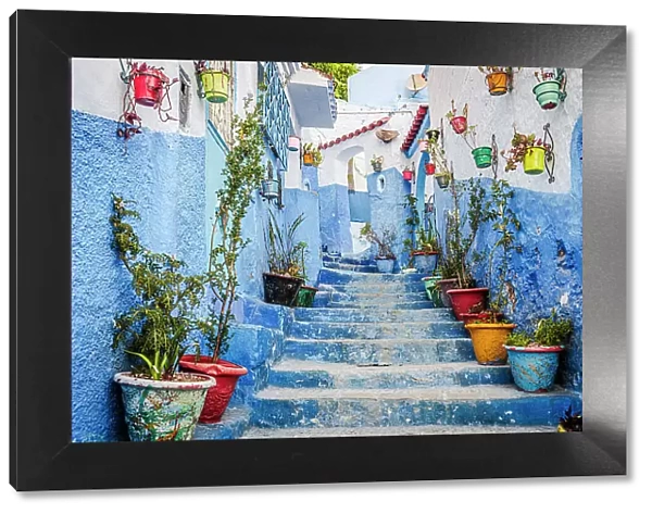 Blue staircase and colorful potted plant, Chefchaouen, Morocco