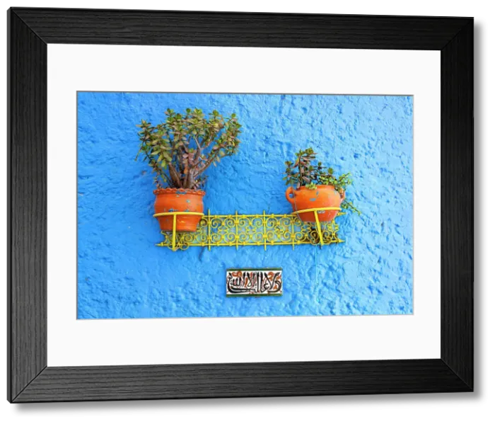 Framed Print : Decorated blue wall with potted plants in the old alleys of Medina, Chefchaouen, Morocco Framed Print : Decorated blue wall with potted plants in the old alleys of Medina, Chefchaouen, Morocco