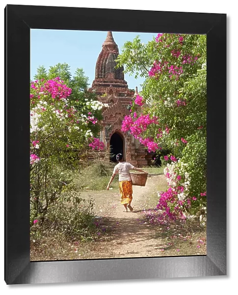 A woman with a basket in front of an ancient Buddhist temple of the Bagan Valley, Old Bagan, Mandalay Region, Myanmar. Bagan was declared a UNESCO World Heritage Site in 2019