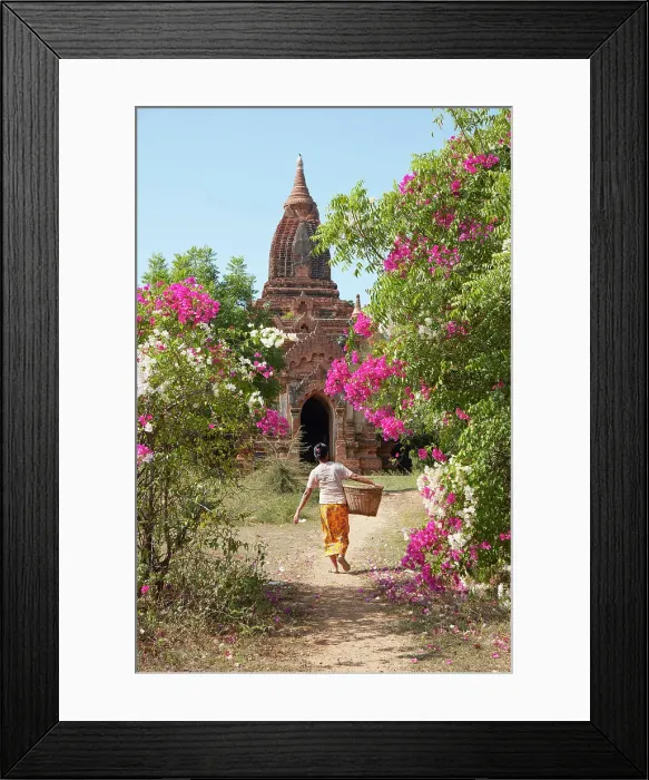 Framed Print : A woman with a basket in front of an ancient Buddhist temple of the Bagan Valley, Old Bagan, Mandalay Region, Myanmar. Bagan was declared a UNESCO World Heritage Site in 2019 Framed Print : A woman with a basket in front of an ancient Buddhist temple of the Bagan Valley, Old Bagan, Mandalay Region, Myanmar. Bagan was declared a UNESCO World Heritage Site in 2019