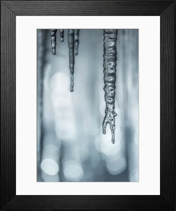 Framed Print : Icicles in tree branches beside waterfall, Triglave National Park, Slovenia Framed Print : Icicles in tree branches beside waterfall, Triglave National Park, Slovenia