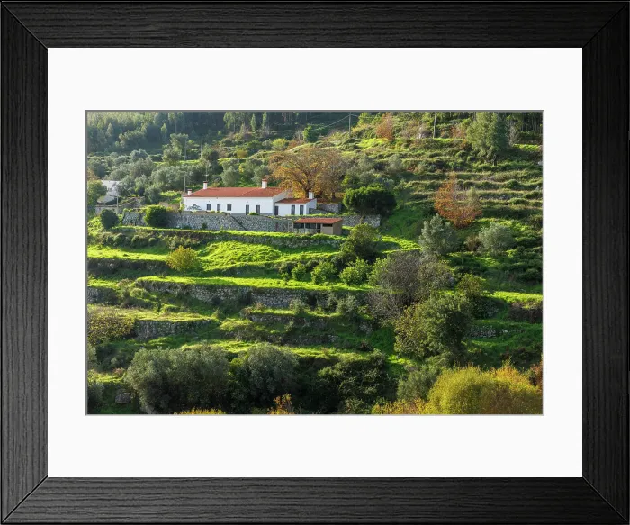 Framed Print : Beautiful landscape of terraced slopes in Sierra da Monchique, Algarve, Portugal Framed Print : Beautiful landscape of terraced slopes in Sierra da Monchique, Algarve, Portugal