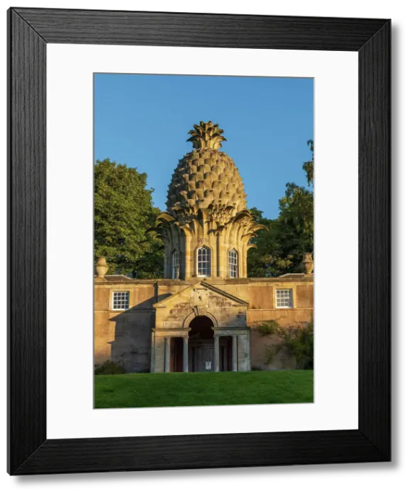 Framed Print : Considered the most bizarre building in Scotland and one of the greatest follies in the United Kingdom, the 18th Century Dunmore Pineapple is in Dunmore Park, near Airth, Stirlingshire, Scotland. Autumn (September) 2022 Framed Print : Considered the most bizarre building in Scotland and one of the greatest follies in the United Kingdom, the 18th Century Dunmore Pineapple is in Dunmore Park, near Airth, Stirlingshire, Scotland. Autumn (September) 2022